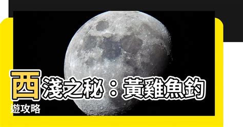 西淺位置